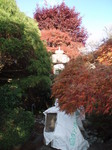 PB121262.JPG