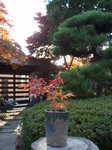 PB121263.JPG