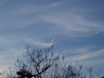 PB131258.JPG