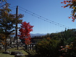 koyo2.JPG